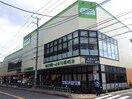 コープみらいコープ中野鷺宮店(スーパー)まで163m アイルグランデ中野ノース(107)