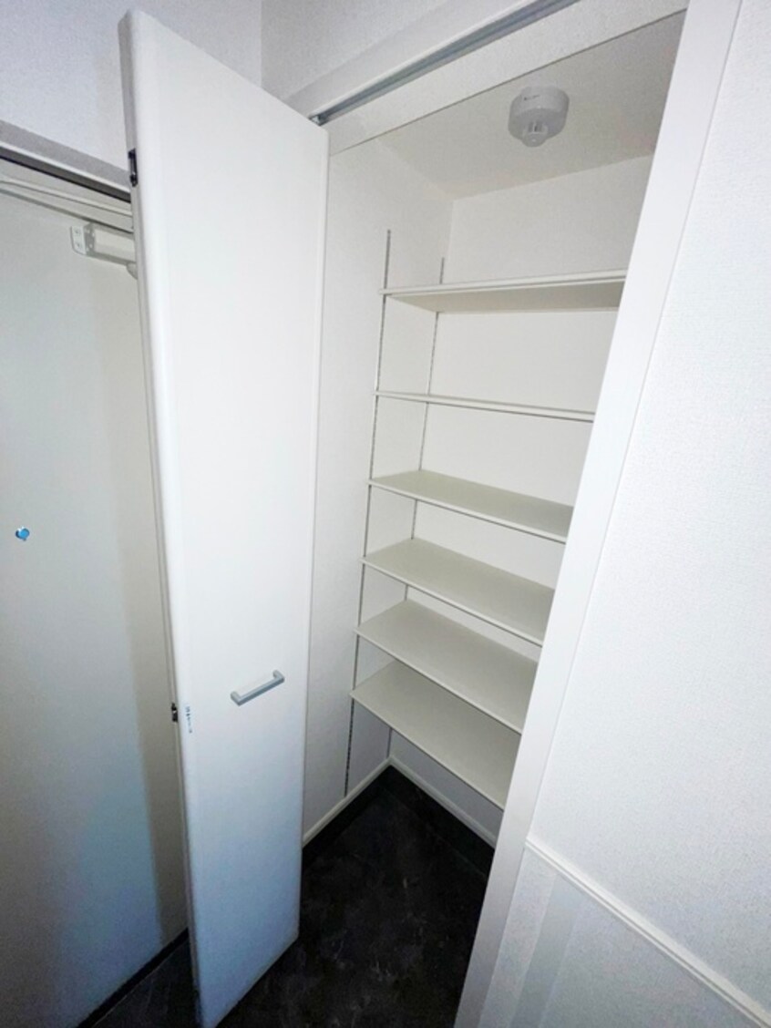 靴箱 コンテチェスト２４