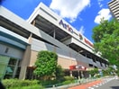 イトーヨーカドーアリオ西新井店(デパート)まで484m FLORA　IIDA