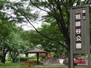 祖師谷公園(公園)まで30m サンフレグランス