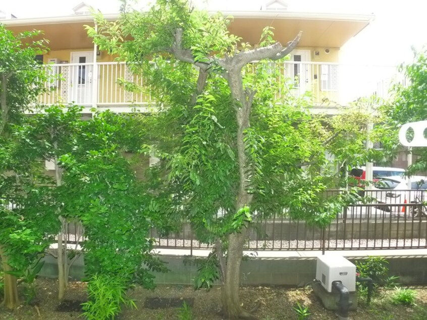 室内からの展望 ハイツ・エスティアン