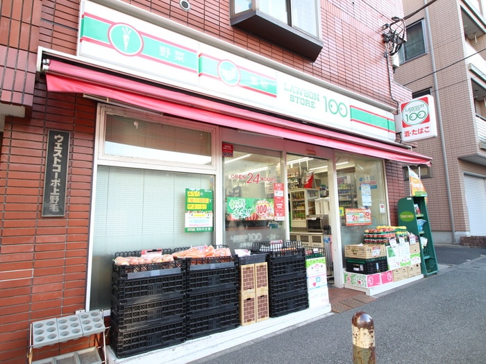 ローソンストア100上野毛店(コンビニ)まで633m ＣＯＺＹ上野毛　ＲＥＤ