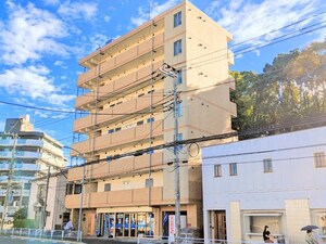 PaulowmiaValleyTake１岸根公園