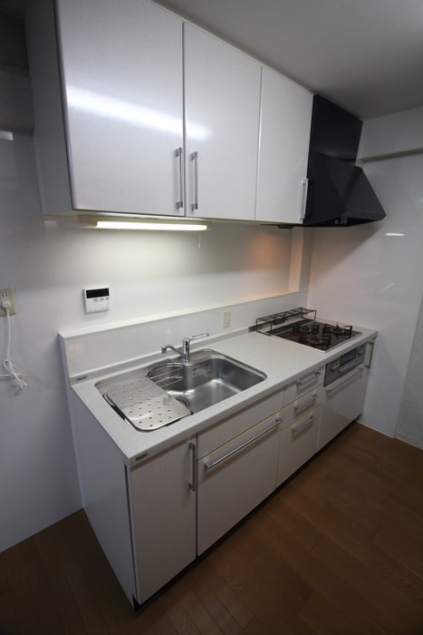 キッチン 大森ハイツ(407)