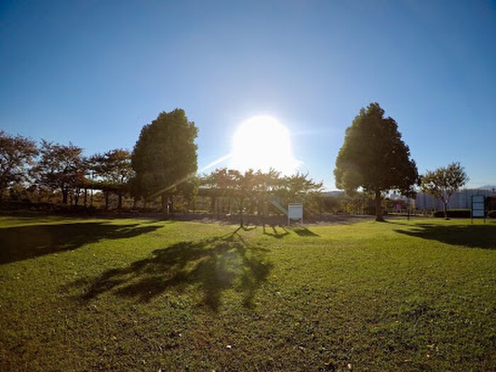 松原中央公園(公園)まで200m ハイツ榎本