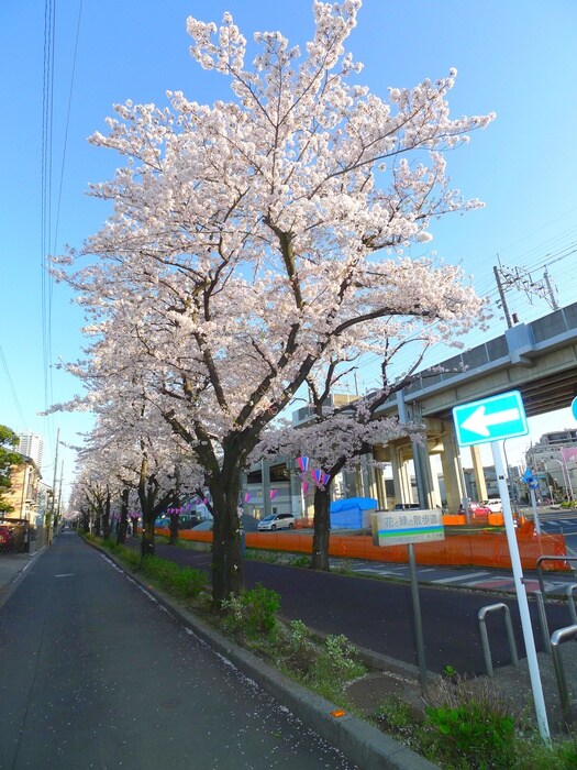 その他 関一丁目貸家