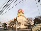 MEGAドン・キホーテ綾瀬店(ディスカウントショップ)まで1000m 武市ハイツA