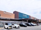 カインズ朝霞店(電気量販店/ホームセンター)まで1200m スタ－ハイム朝霞