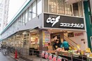 ココスナカムラ　阿佐ヶ谷店(スーパー)まで219m アイビーコート