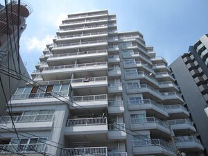 ﾗｲｵﾝｽﾞﾏﾝｼｮﾝ南平台(906)