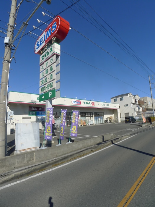 セイムス(ドラッグストア)まで300m ｆ‐ｃｕｂｅⅣ