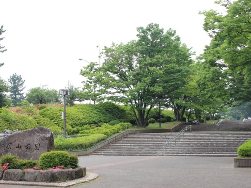 横山公園(公園)まで725m ドミール星ヶ丘Ｃ