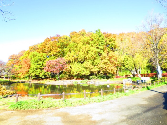 桜台公園(公園)まで20m アルデ－ア桜台Ａ