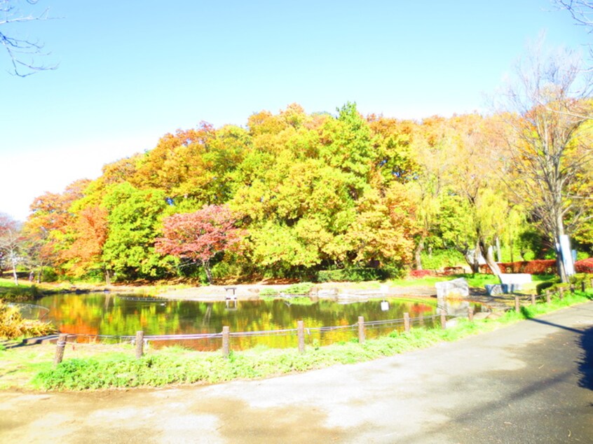 桜台公園(公園)まで20m アルデ－ア桜台Ａ