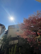 室内からの展望 ロアジス