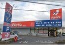 ジェーソン　武蔵村山店(ディスカウントショップ)まで761m ホワイトキャッスル砂川