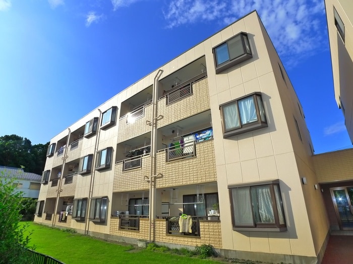 その他 ラフィ－ヌ・フォレ