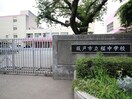 桜中学校(中学校/中等教育学校)まで1100m セジュール泉町