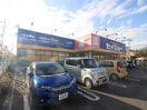 セイジョー　秋津店(ドラッグストア)まで800m プレ－ンハイムⅡ