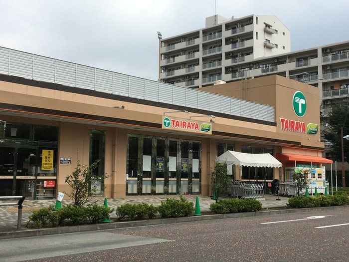 エコス TAIRAYA(タイラヤ) 三鷹新川店(スーパー)まで548m バ－ドバレィ
