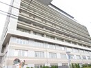 町田市民病院(病院)まで163m カインドネス町田旭町