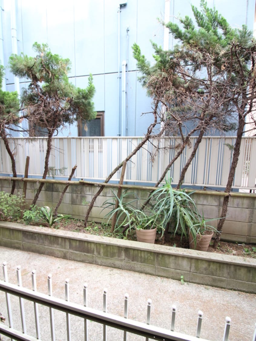 室内からの展望 プチシャトレ東和