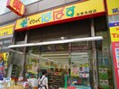 どらっぐぱぱす 台東鳥越店(ドラッグストア)まで1100m ラ・ヴィータ東上野