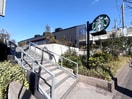 スターバックス(カフェ)まで600m アムールMiwa