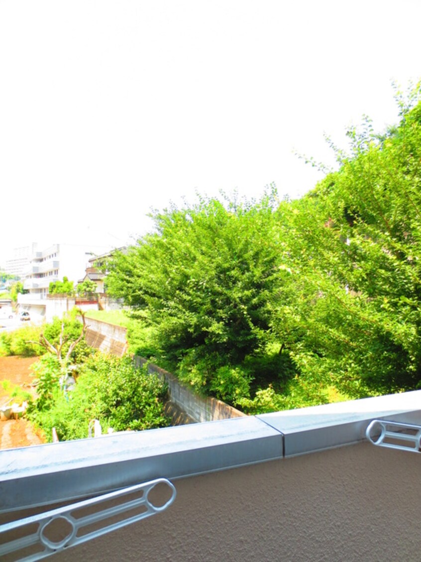 室内からの展望 ファミリーナ　タマⅢ