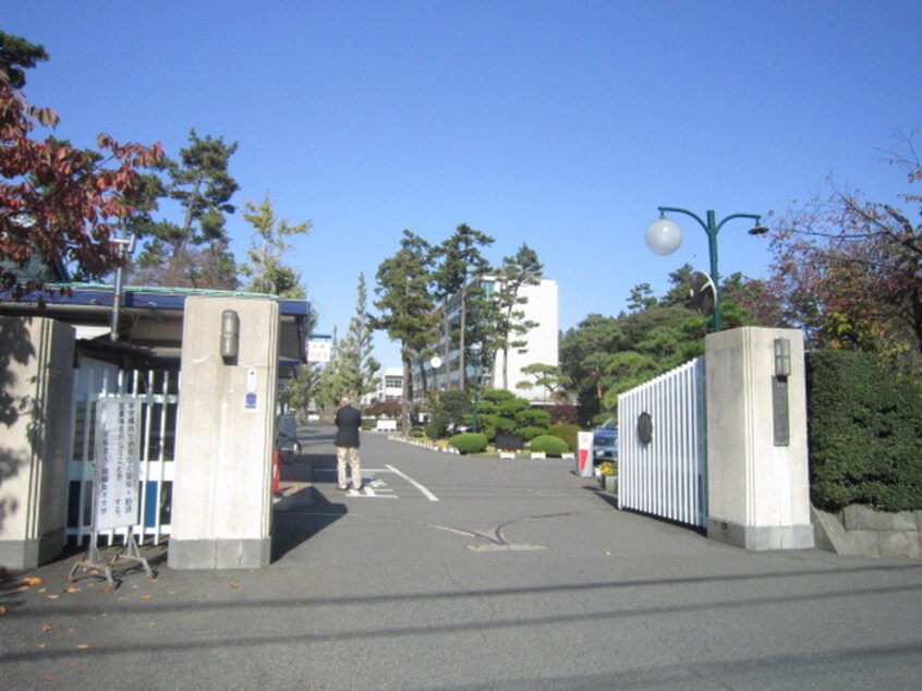 相模女子大(大学/短大/専門学校)まで400m トラッドハウス