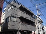 パインツリー