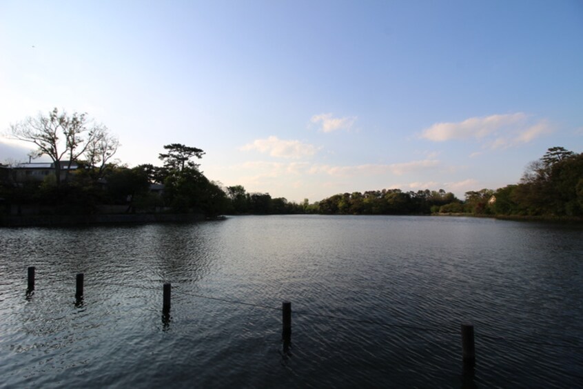 洗足池公園(公園)まで521m ローブル洗足池