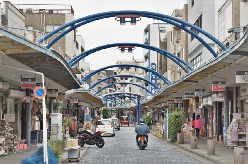 藤棚商店街(ショッピングセンター/アウトレットモール)まで300m Y･Tｱｸｾｽ横浜