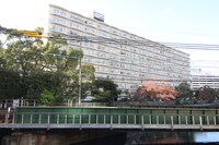 パークハイツ横浜（３０８）