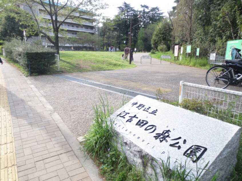 江古田の森公園(公園)まで698m エヴァンス