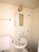 洗面 シャトルイシダ