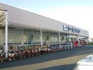 ケーヨーD2(電気量販店/ホームセンター)まで588m プリムロ－ズ