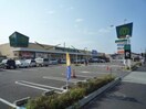 マミーマート 小平小川店(スーパー)まで121m いろは荘