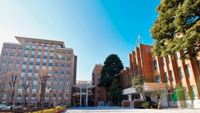 拓殖大学(大学/短大/専門学校)まで691m 升本マンション