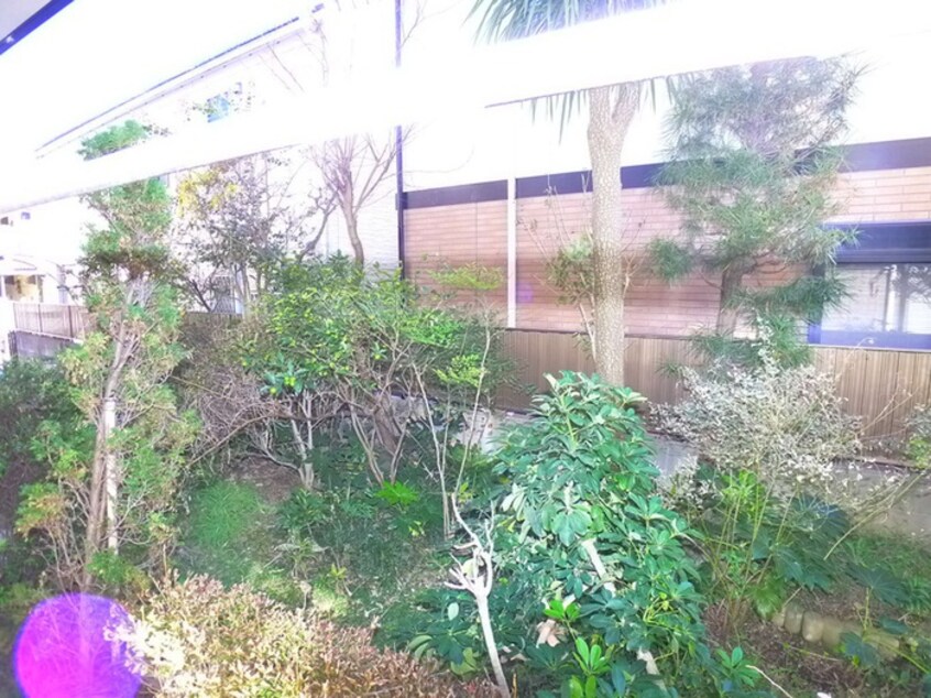 室内からの展望 ヴェルドミール