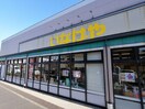 いなげや狛江東野川店(スーパー)まで850m グリーンハイツ元木