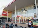 島忠 ホームズ仙川店(電気量販店/ホームセンター)まで1100m グリーンハイツ元木