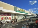 いなげや 調布仙川店(スーパー)まで92m ル－ドルフィアタウンズＣ