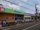 Welpark調布仙川店(ドラッグストア)まで157m ル－ドルフィアタウンズＣ