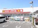 ドラッグストアスマイル　踊場店(ドラッグストア)まで328m Ａｓｃｏｔ　Ｈｉｌｌ(1～4号室)