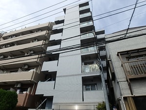 ｽﾃｰｼﾞﾌｧｰｽﾄ白山Ⅱ（601）