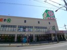 ライフ練馬土支田店(スーパー)まで1014m 南大和団地五号棟（107）