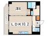 エシュレ湘南 1LDKの間取り