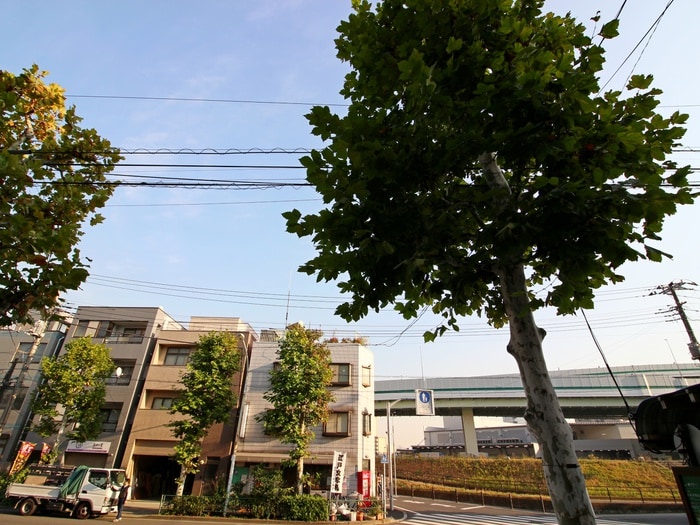 室内からの展望 ラルジュ