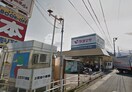 ヤオマサ螢田店(スーパー)まで533m エクレセンスミナミ